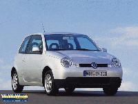 Lupo Lupo