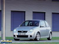 Lupo lupo
