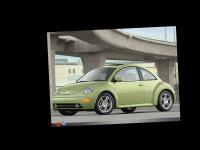 New beetle New beetle