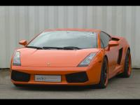 Gallardo Gallardo