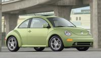 New Beetle Beetle New Beetle Beetle